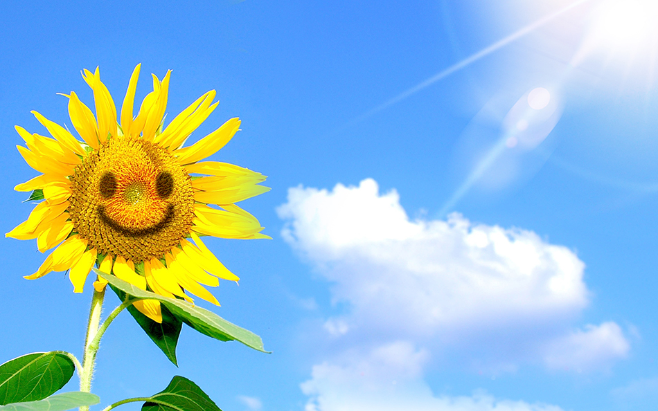 钟南桥,坚持只为热爱(images 10)