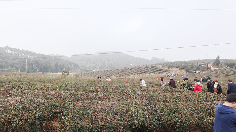 每一场旅行都将是成长的回忆（images 5）